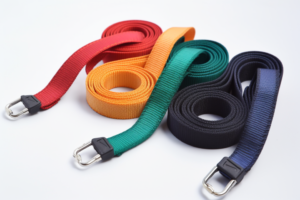 flat nylon pet leashes