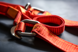 sewn webbing with two climbing carabiners at two sides