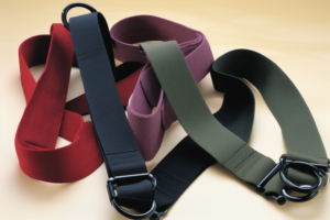 Elastic Cinch Strap