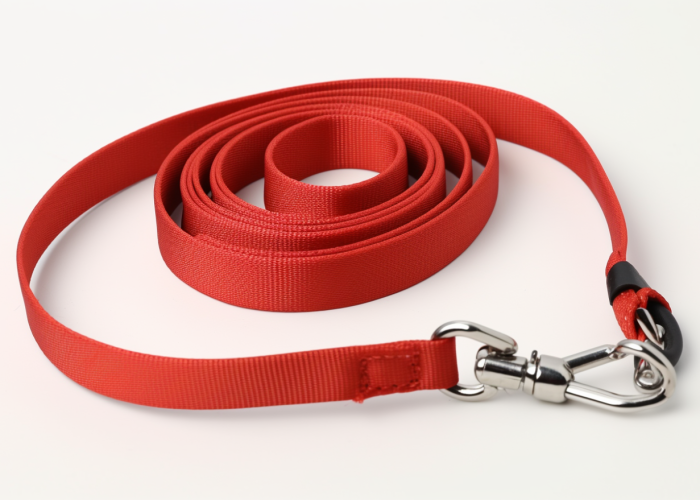 leash for pet, red, nylon