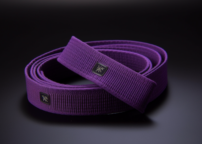 purple elastic thick webbing band purple elastic thick webbing band